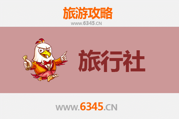 新界葵青区本地旅行社推荐：深度探索在地文化与自然奇景