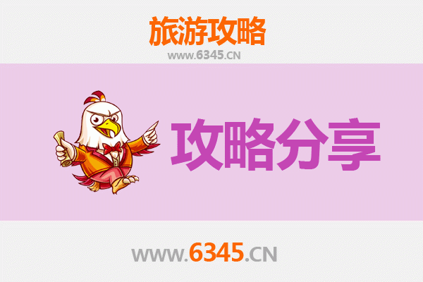 新界葵青旅游攻略：跟团与自由行深度解析