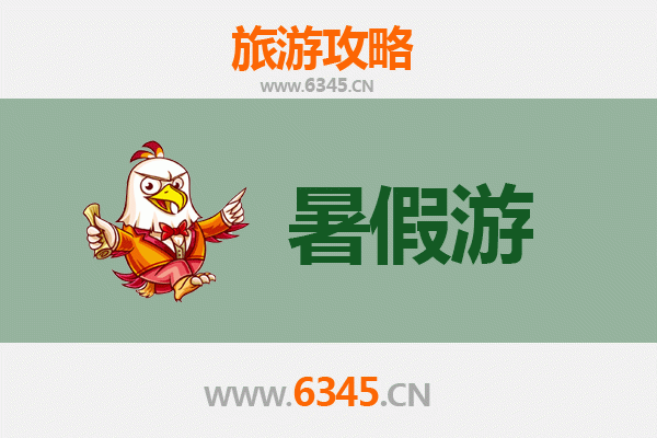 新界葵青暑假旅游好去处：探索城市绿洲与在地文化