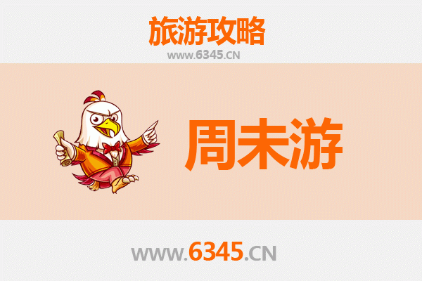 新界葵青周末游攻略：探索城市绿洲与在地文化