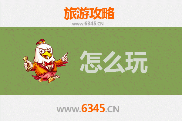 节假日玩转新界葵青：文艺市集与自然风光全攻略