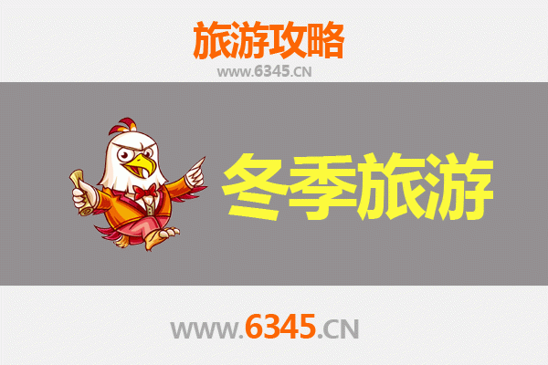 新界葵青冬季漫游指南：城市绿洲与文艺秘境